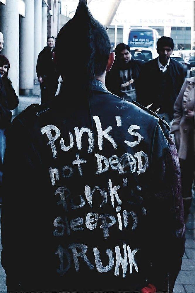 Punk Rock 1Jigsaw Puzzle Brain Teaser P2087