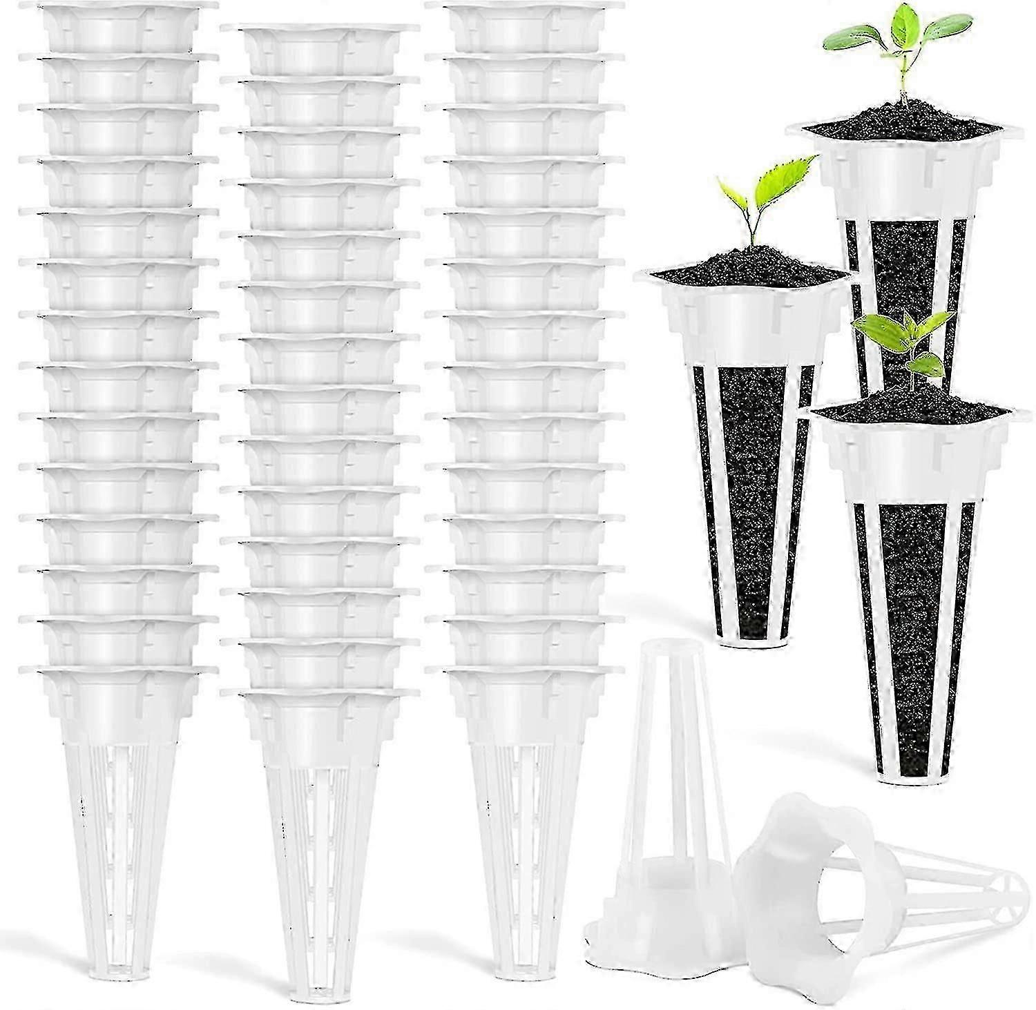 Sponge Growing Plant Basket