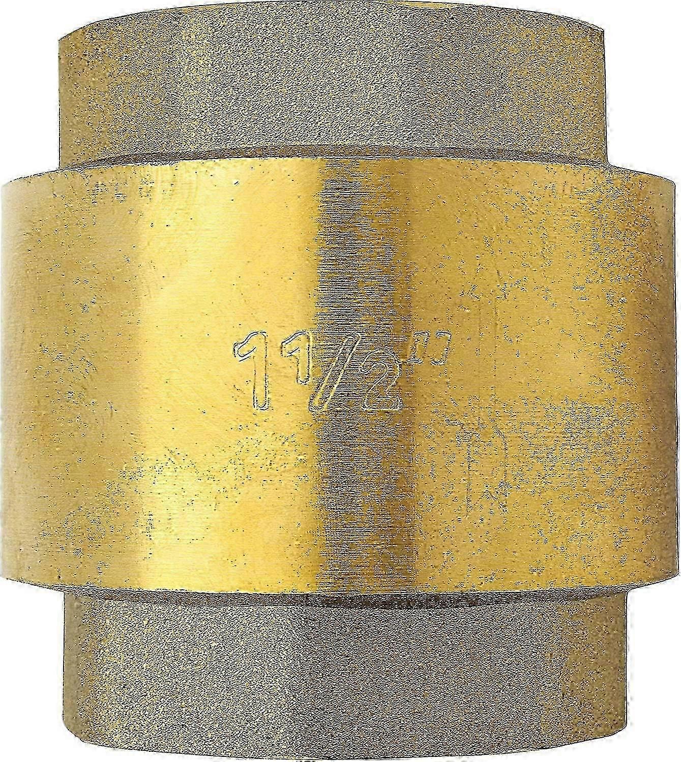 1 1/2 Inch Rust-Resistant Brass Check Valve for Pump System