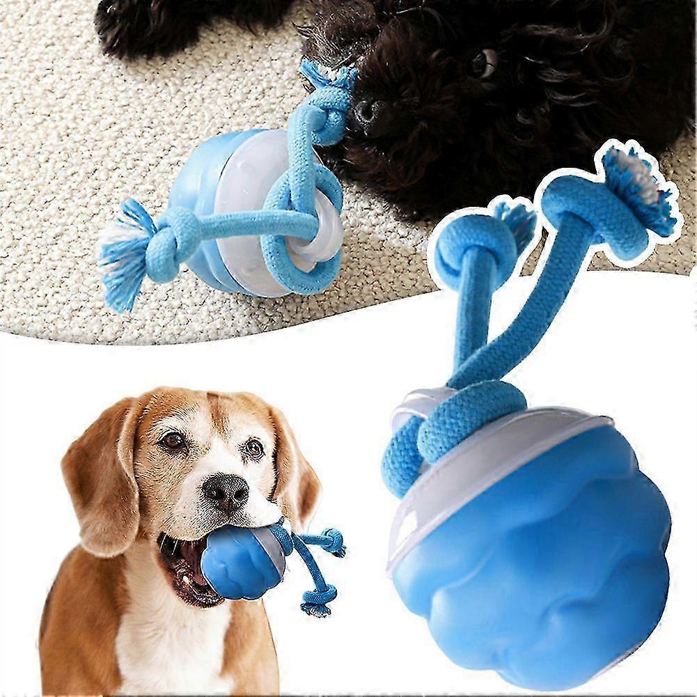 Interactive Rolling Dog Ball with Tail, Motion Activated, for Indoor Training