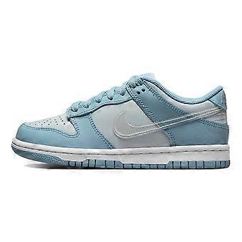 Nike Dunk Low Clear Blue Swoosh GS DH9765-401