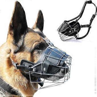 Super Metal Focinho Focinho Cão Focinho De Couro Para Cães Grandes Mordida E Sensação De Segurança Para A Maioria Cães G