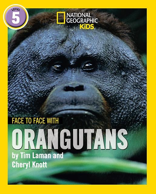 Face To Face With Orangutans by Cheryl Knott Paperback Book