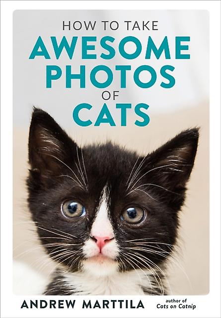 How To Take Awesome Photos Of Cats by Andrew Marttila Hardback Book