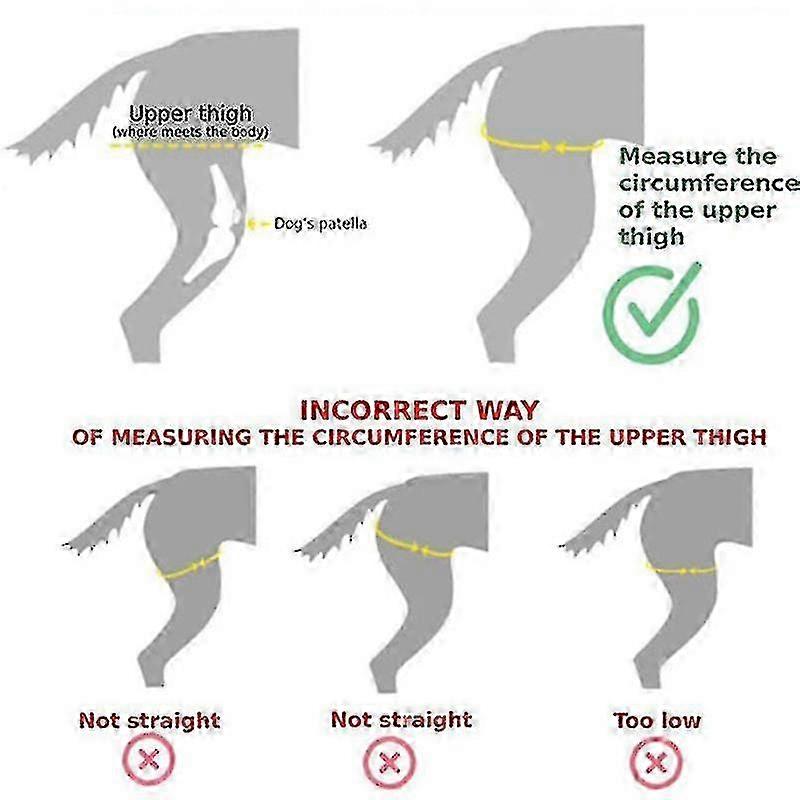 Husdjursskyddsutrustning efter benskada Benskydd Ärm Hund Knäskydd