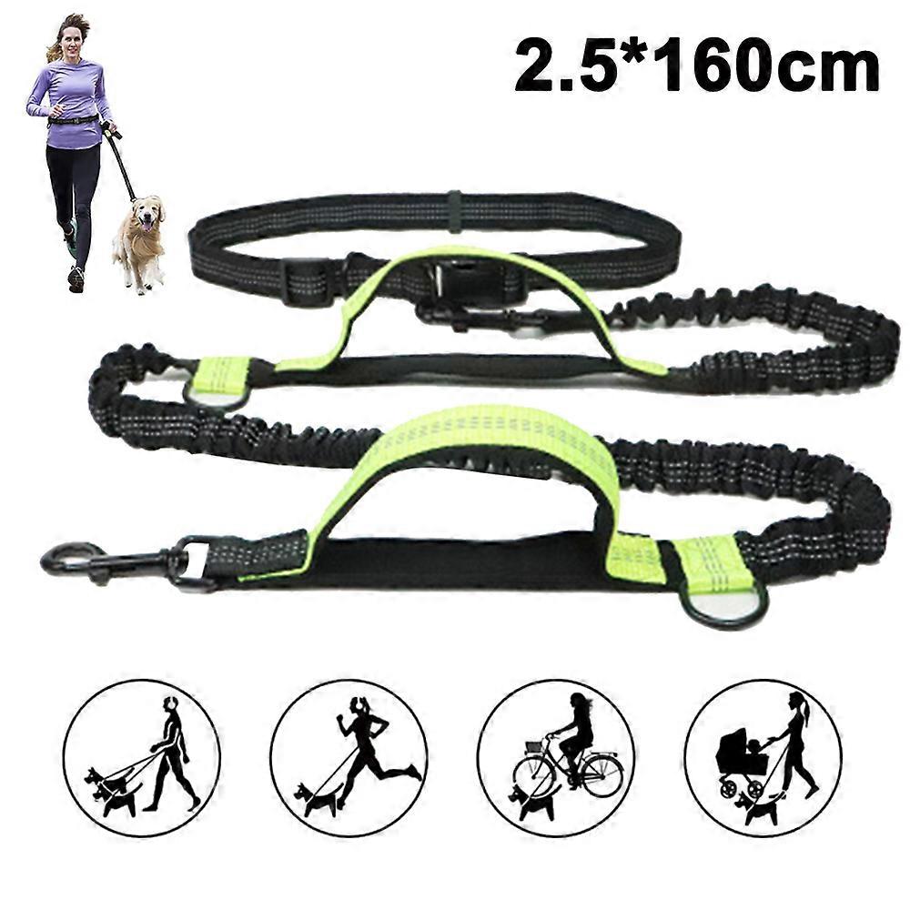 Dog Leash, Upgrade Hands-free Dog Leash with Two Bungees, Long Nylon Dog Leash-Fluorescent green with foam version 2.5*160cm