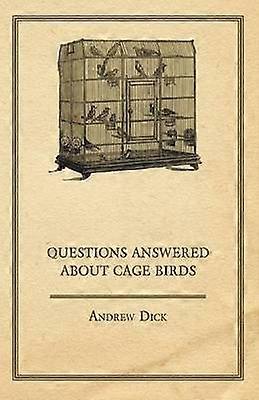 Questions Answered About Cage Birds