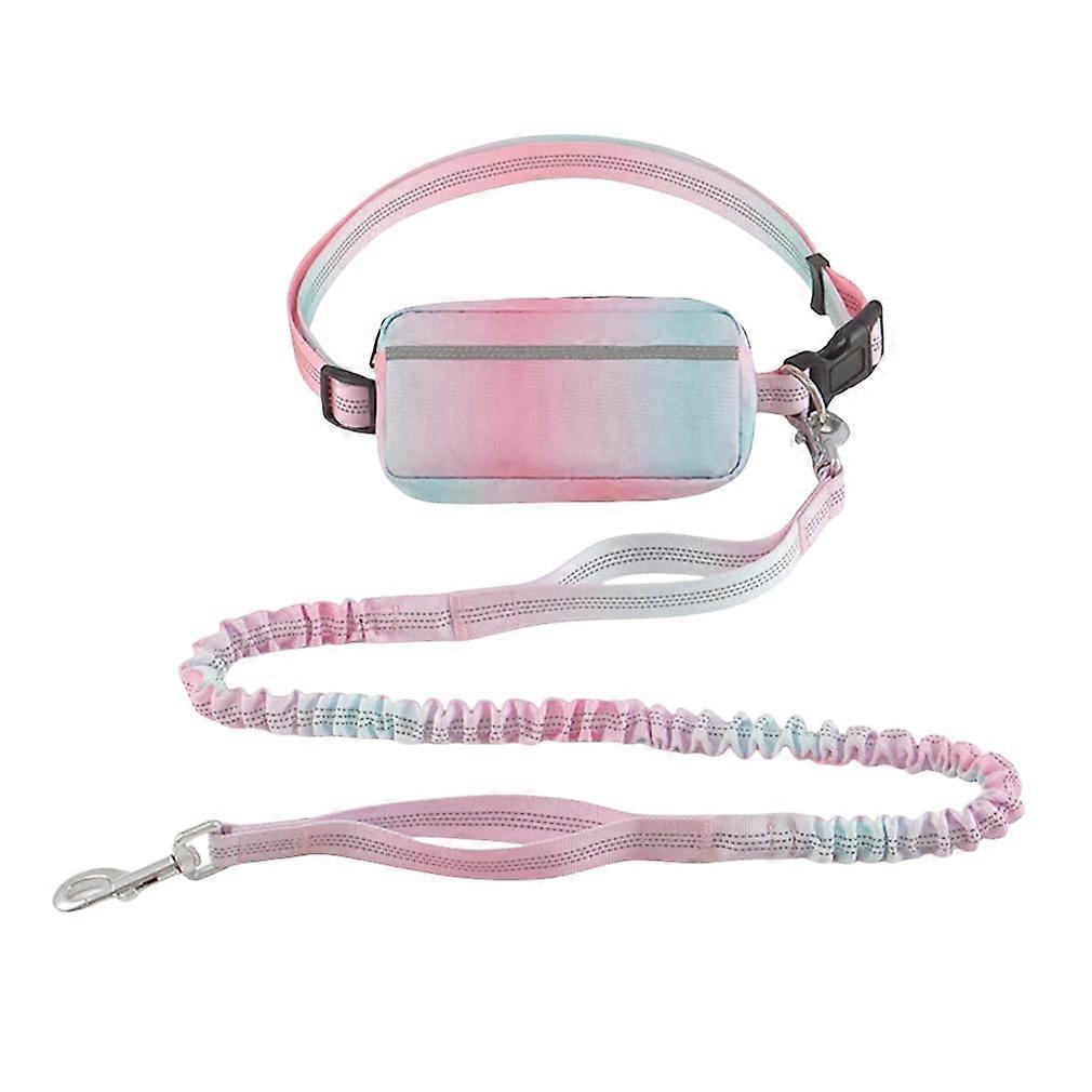 Hands Free Dog Leash with Zipper Pouch, Dual Handles and Reflective Bungee for Walking, Jogging and Running Medium Large Dog (PinkCyan)
