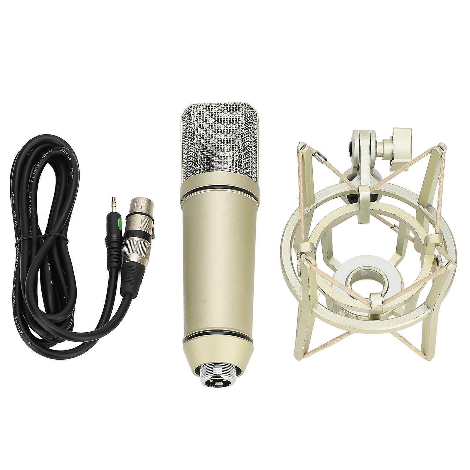 Studio Condenser Microphone - Metal Wired Cardioid Mic for Vocal Recording & Streaming