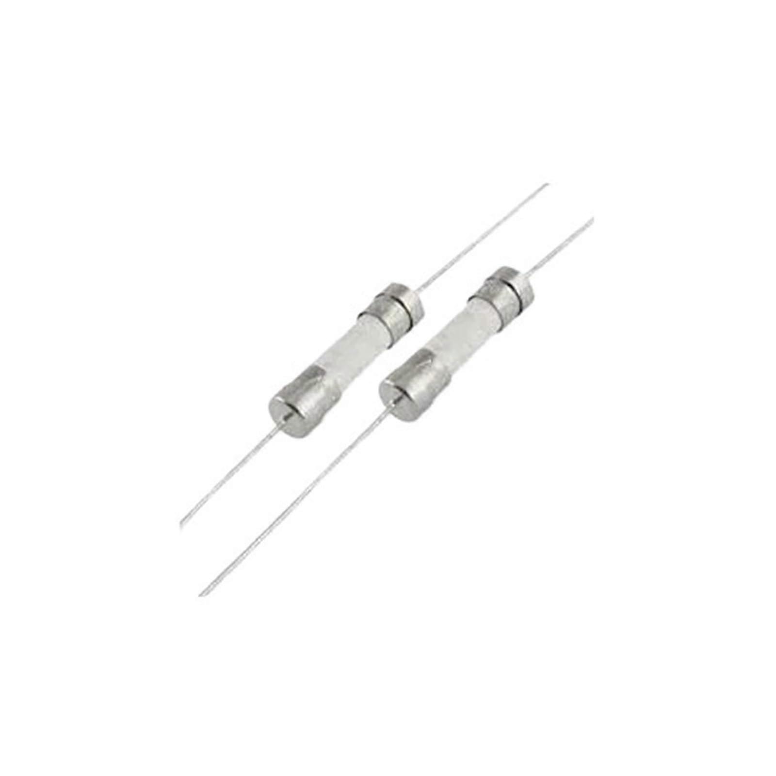 5 pieces 3.6x10mm axial 10A 250V ceramic fuse