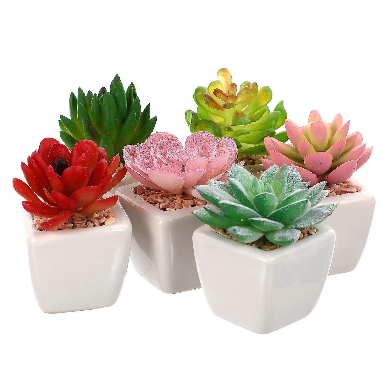 Simulated Bonsai Set Miniature Artificial Succulents Non-Fading Ceramic Pots Desks Bookshelves 6Set