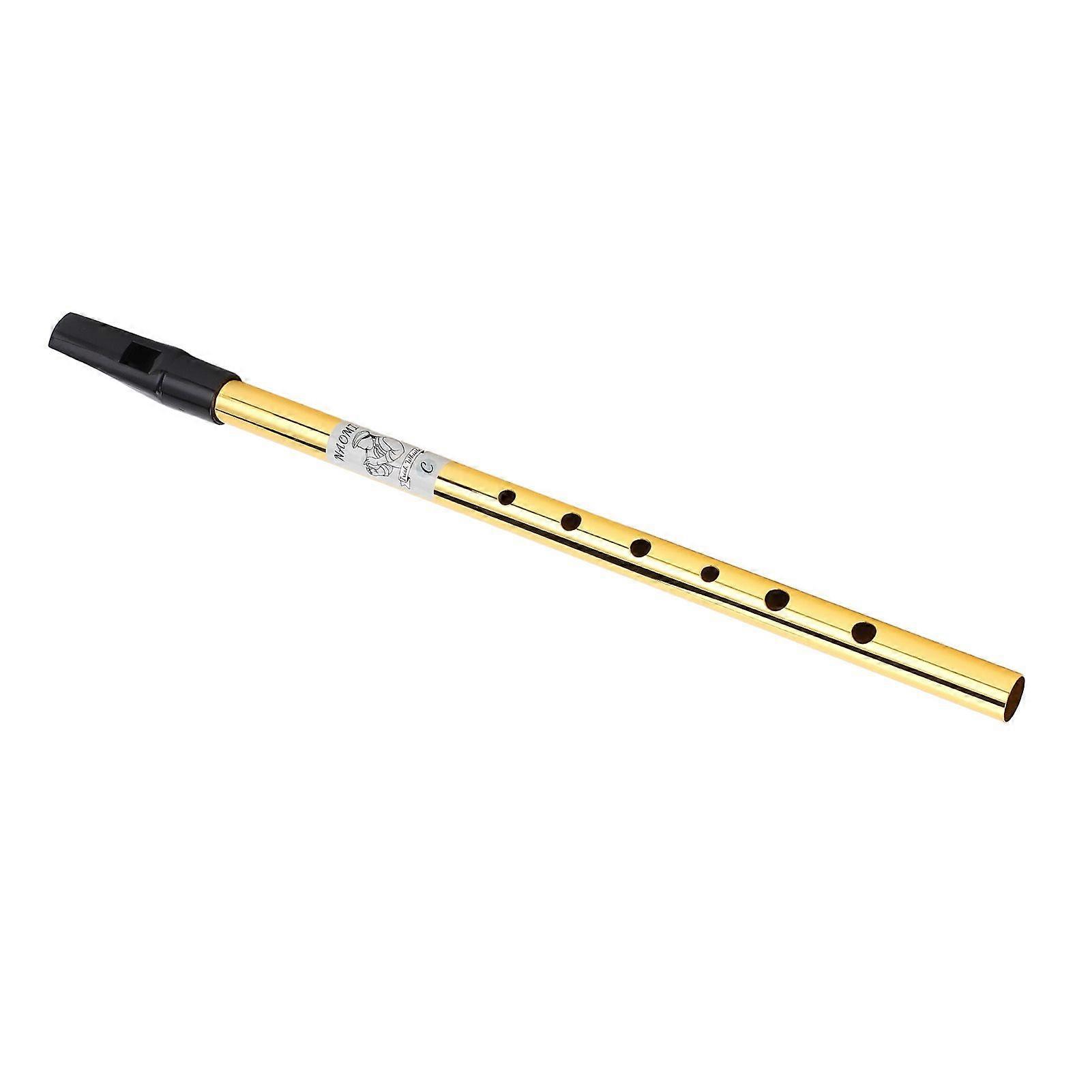 6 Holes Irish Tin Whistle Clear Sound Wind Musical Accurate Tuning Whistle Flute for Beginners C Tune