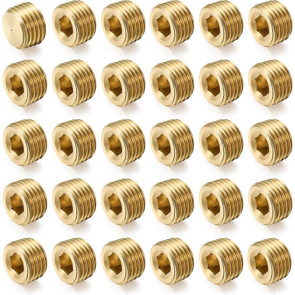 30Pcs 1/4"NPT Male Pipe Plug Fitting Set Internal Hex Thread Socket Pipe Plug Kit Hex Counter Sunk Plugs for End Closure