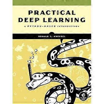 Praktisches Deep Learning: Eine Python-basierte Einführung