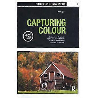 Grunderna i fotografering: Att fånga färger