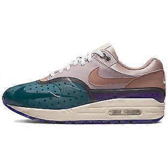 Nike Air Max 1 Premium Plum Fog Fossil Rose Women's DV2301-501