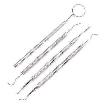Pet Dental Tools Stainless Steel Tooth Cleaning Kit for Dogs and Cats, Double Ended Scaler and Mirror, 6.8Inch