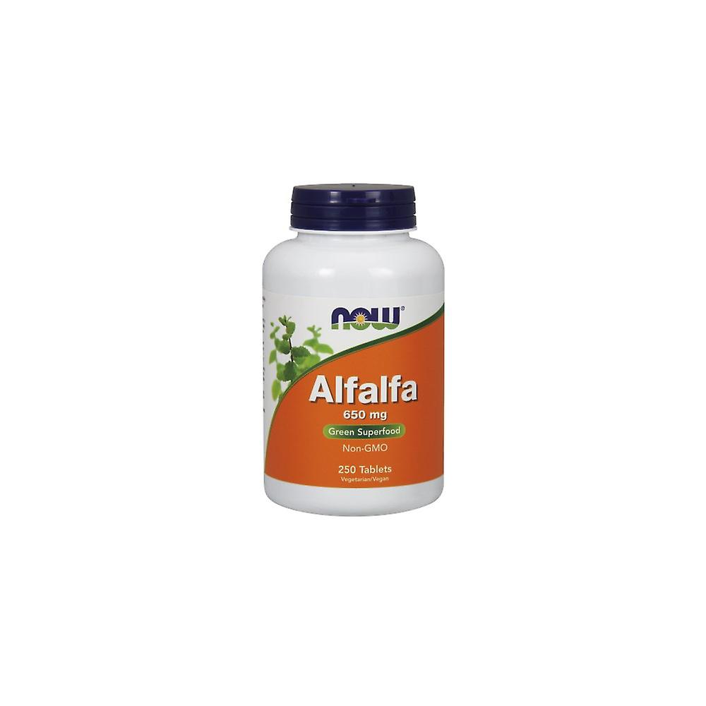 NOW Foods Alfalfa BI4103