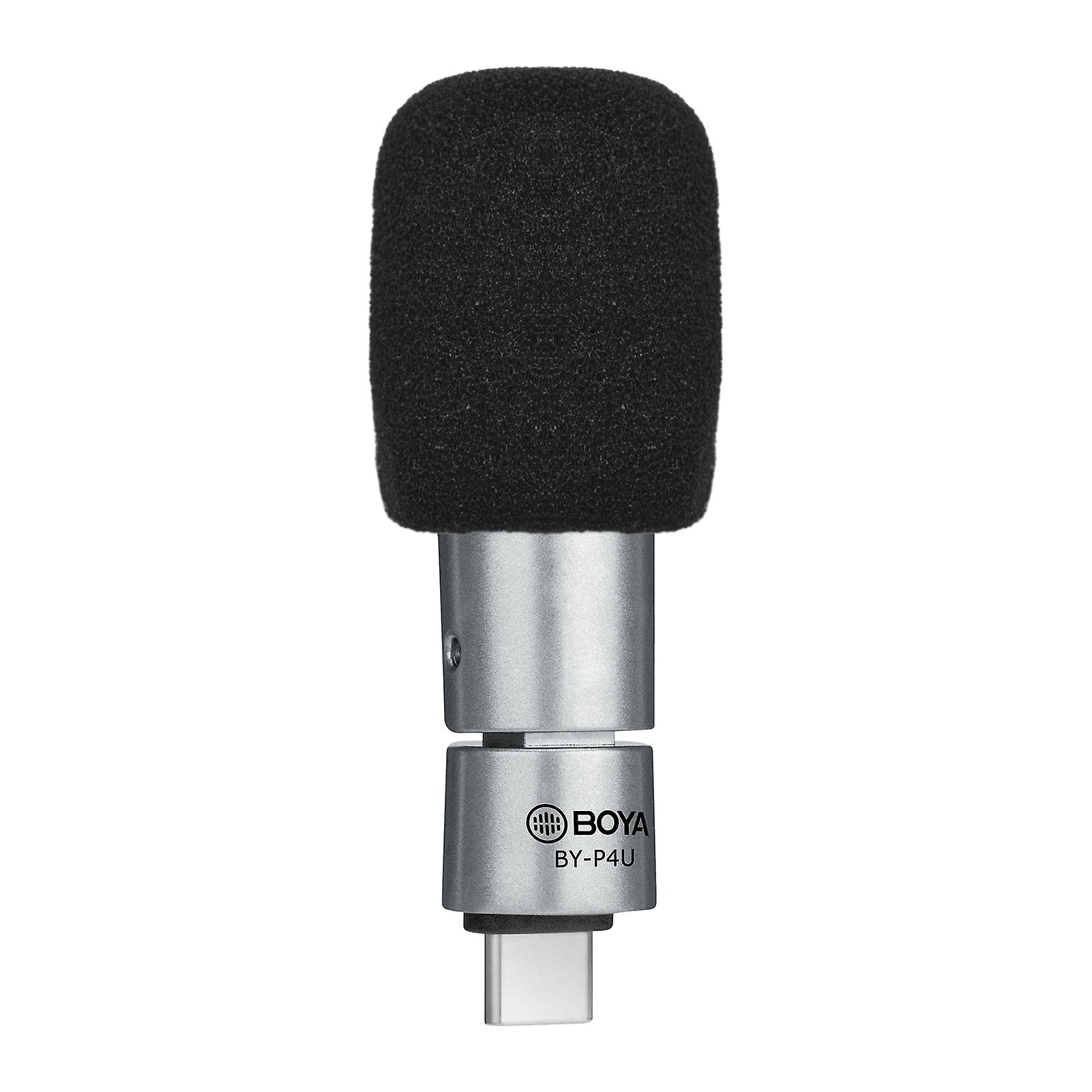 Omnidirectional Condenser Microphone Mini Mic With Windscreen Type-c Port