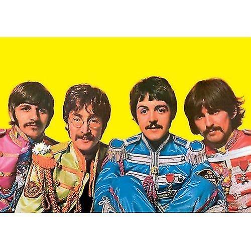 The Beatles Sgt Pepper Standard Postcard