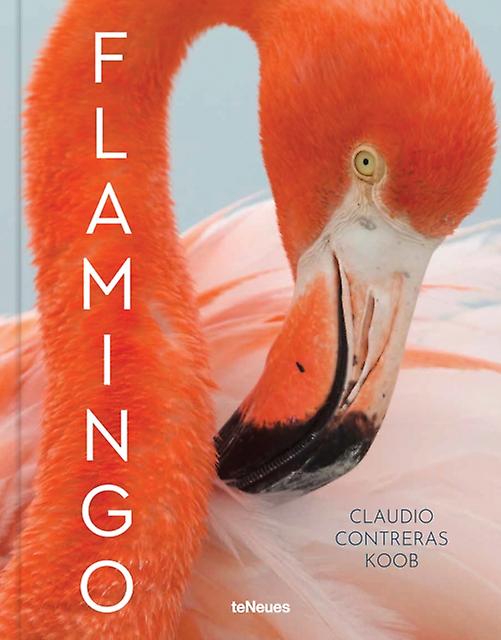 Flamingo by Claudio Contreras Koob Hardback Book