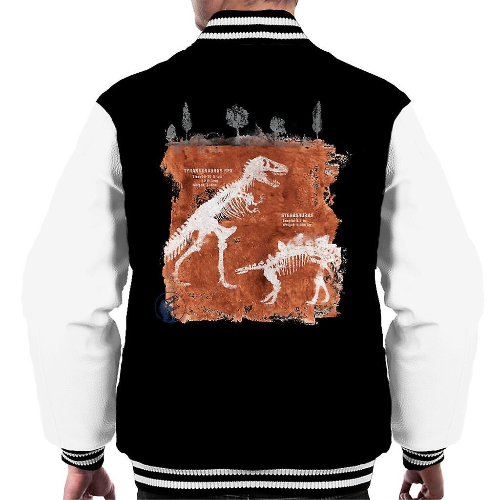 Jurassic Park T Rex Fossils Men's Varsity Jacket