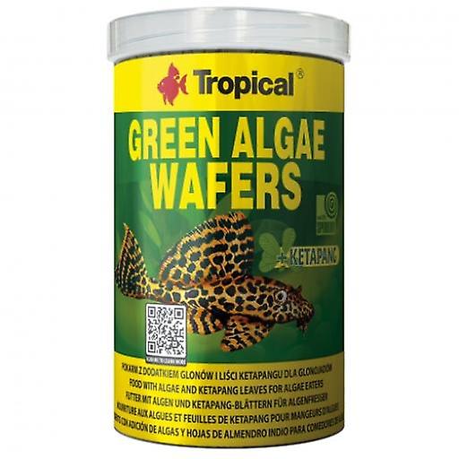 Tropical Alimento Green Algae Wafers para Cuchas Mariposas