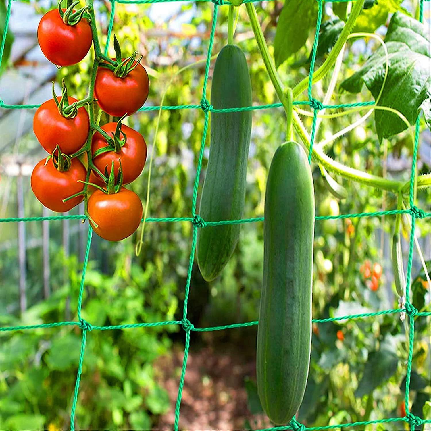 Climbing net with large mesh size for the growth of climbing plants 1.8x3.6m