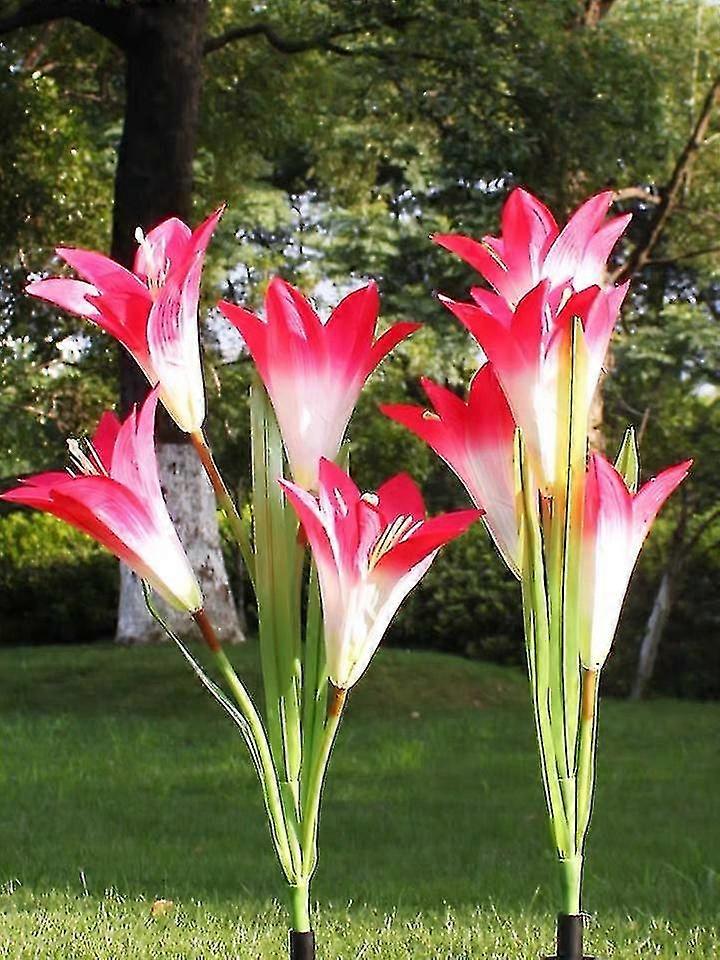 Lily Solar Led Lampe 2 Bundles 8