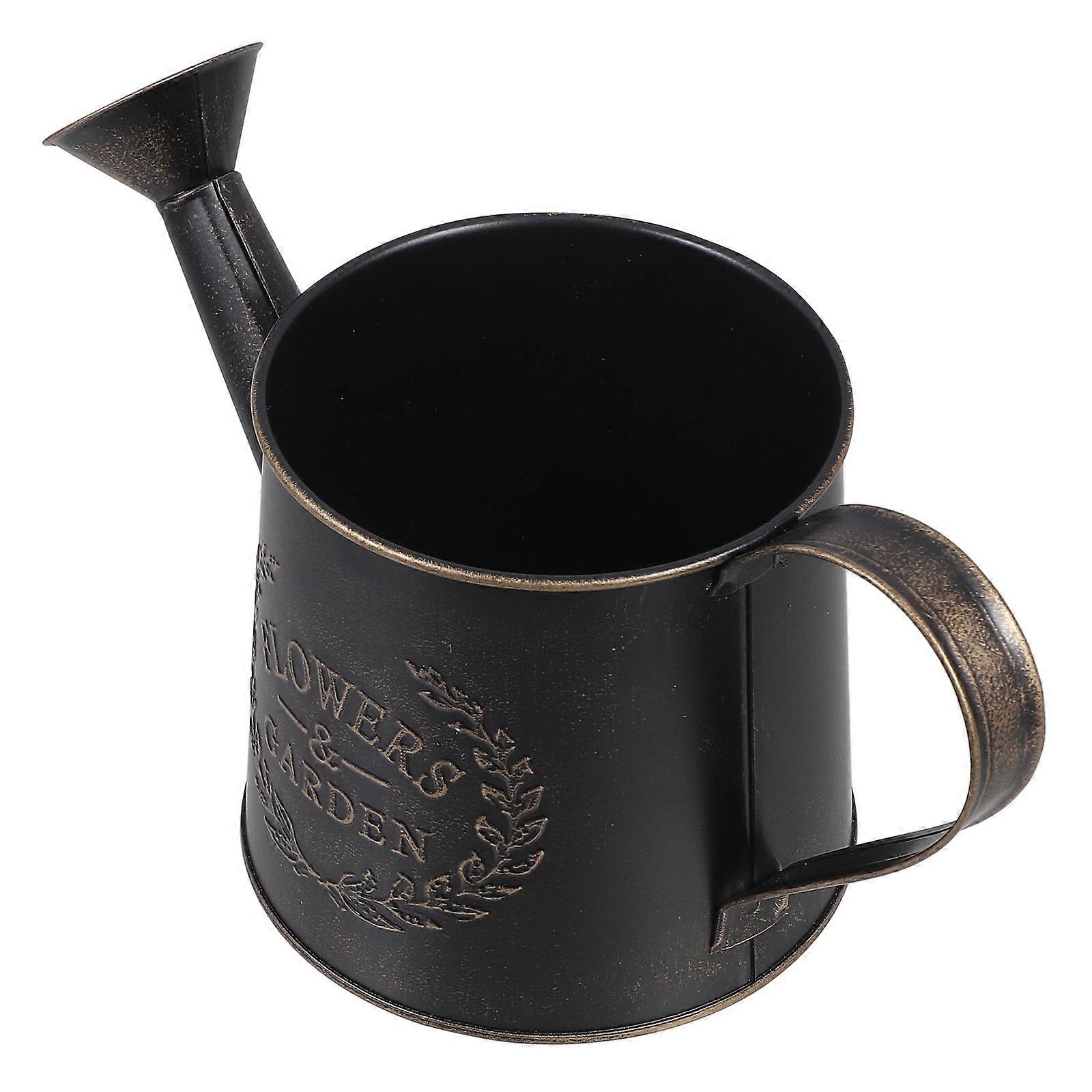 Iron Flowerpot Indoor Watering Pot for Watering with Practical Use