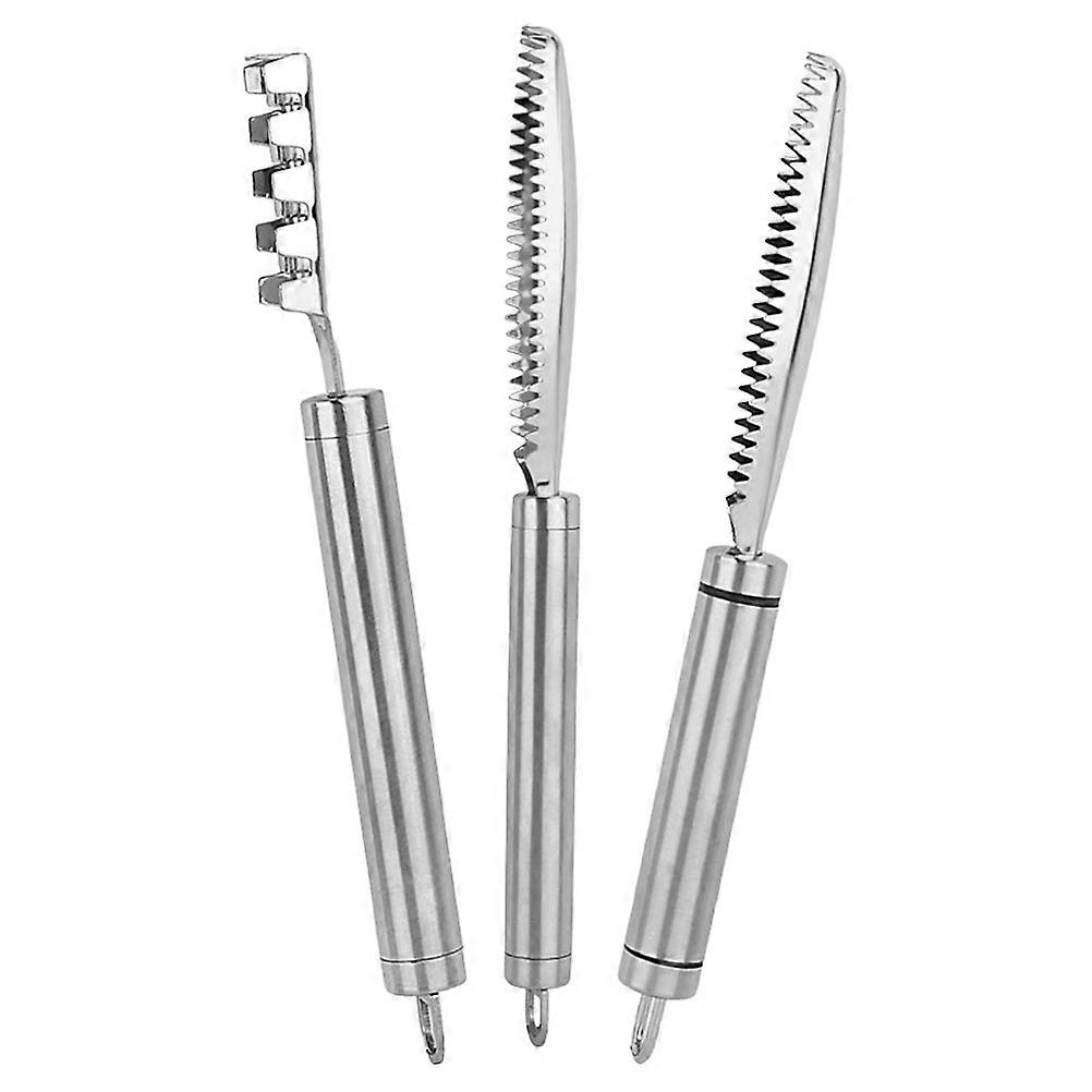 Scale Removal Tool Stainless Steel Market Comfortable Grip 3Pcs
