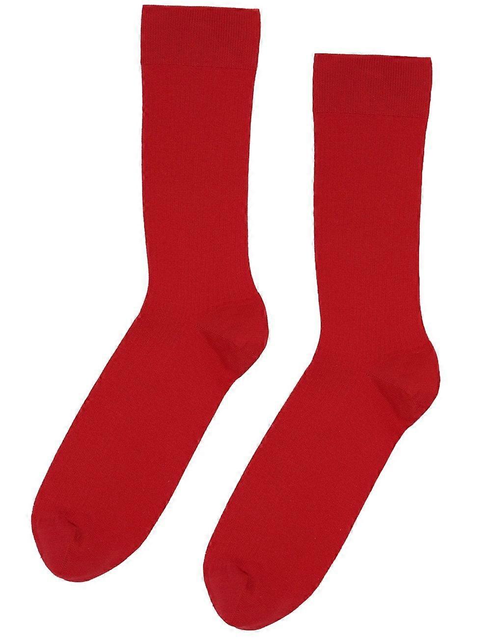 Men's Colorful Standard Classic Organic Socks - Scarlet Red