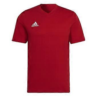 Męska koszulka adidas Entrada 22 V Neck