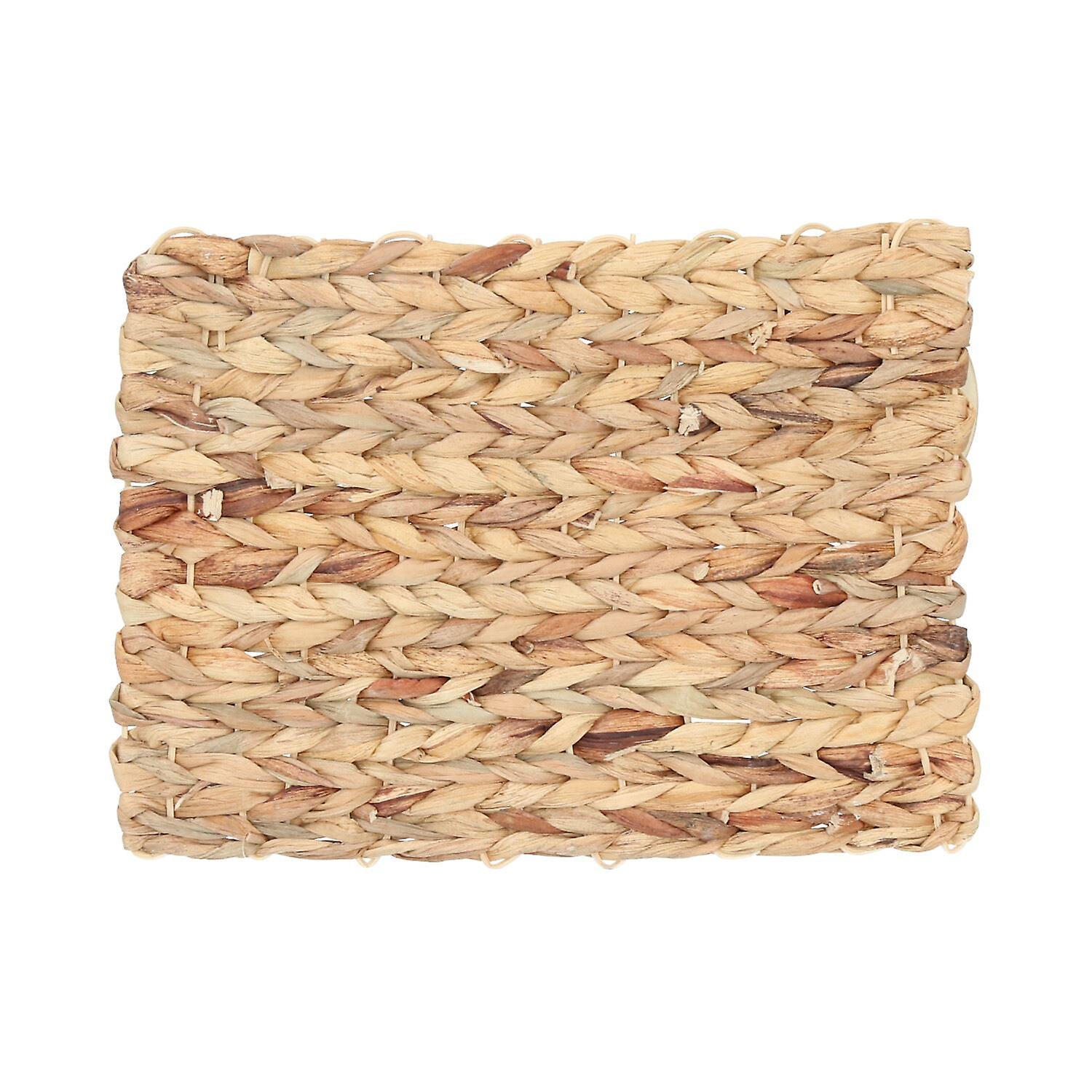 Small Animals Boredom Breaker Chill N Chew Mat Rabbit Guinea Pig 1x23x33cm