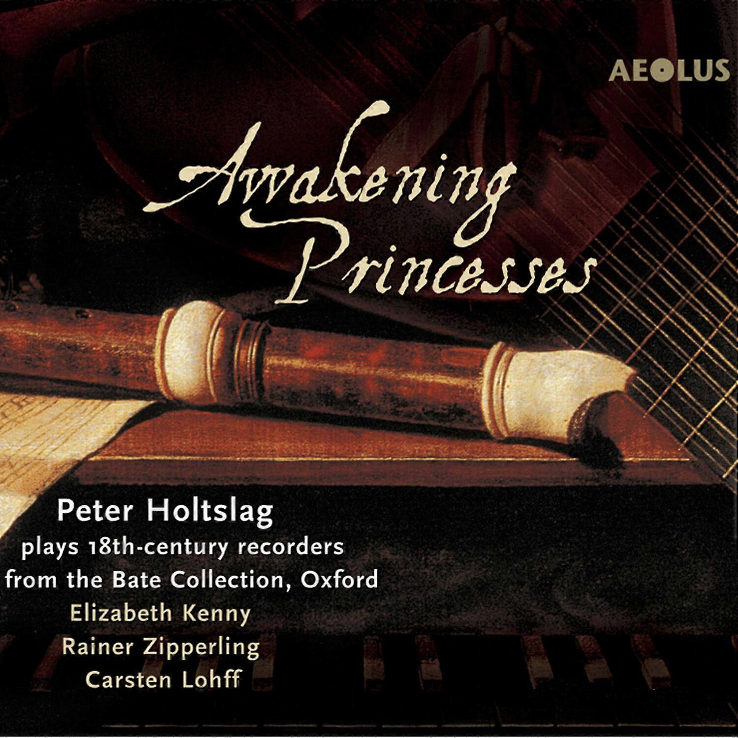 Peter Holtslag - Awakening Princesses  [COMPACT DISCS] USA import