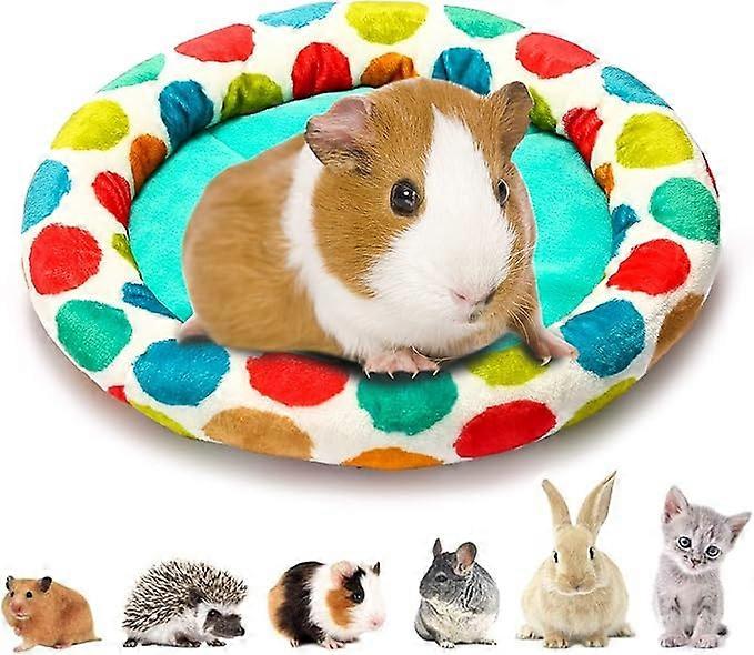 Guniea Pig Bed (Bed)
