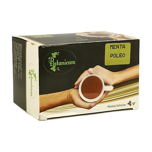 Mint Pennyroyal 26 g