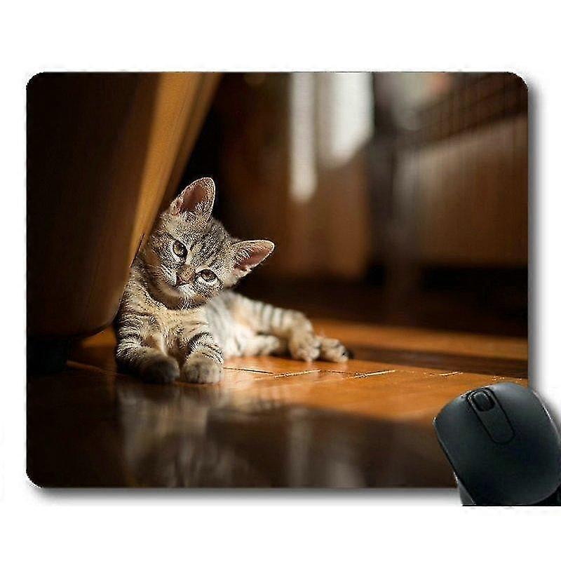 mouse animal kitten pad,mouse x180x3 computer