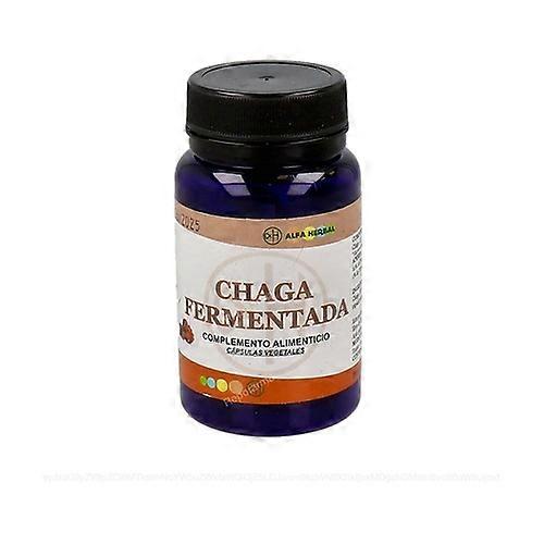 Fermented chaga supports the immune system 50 vegetable capsules