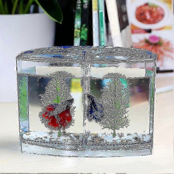 Rearing Aquarium Tank Betta Incubator Small Betta Mini Double Isolation Box