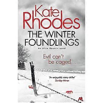 The Winter Foundlings Alice Quentin 3