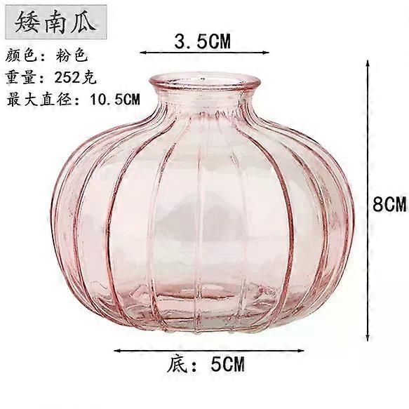 Decorative Flower Bottle Nordic Glass Vase Transparent Bud Vase Designed Hydroponic Plant Pot Living Room Decor Table Ornaments
