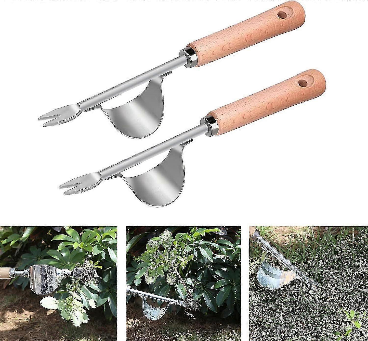 الفولاذ المقاوم للصدأ الحشائش مع مقبض الخشب الطبيعي - حديقة دليل شوكة