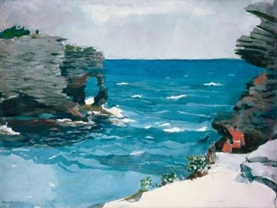 Rocky Shore, Bermuda Poster