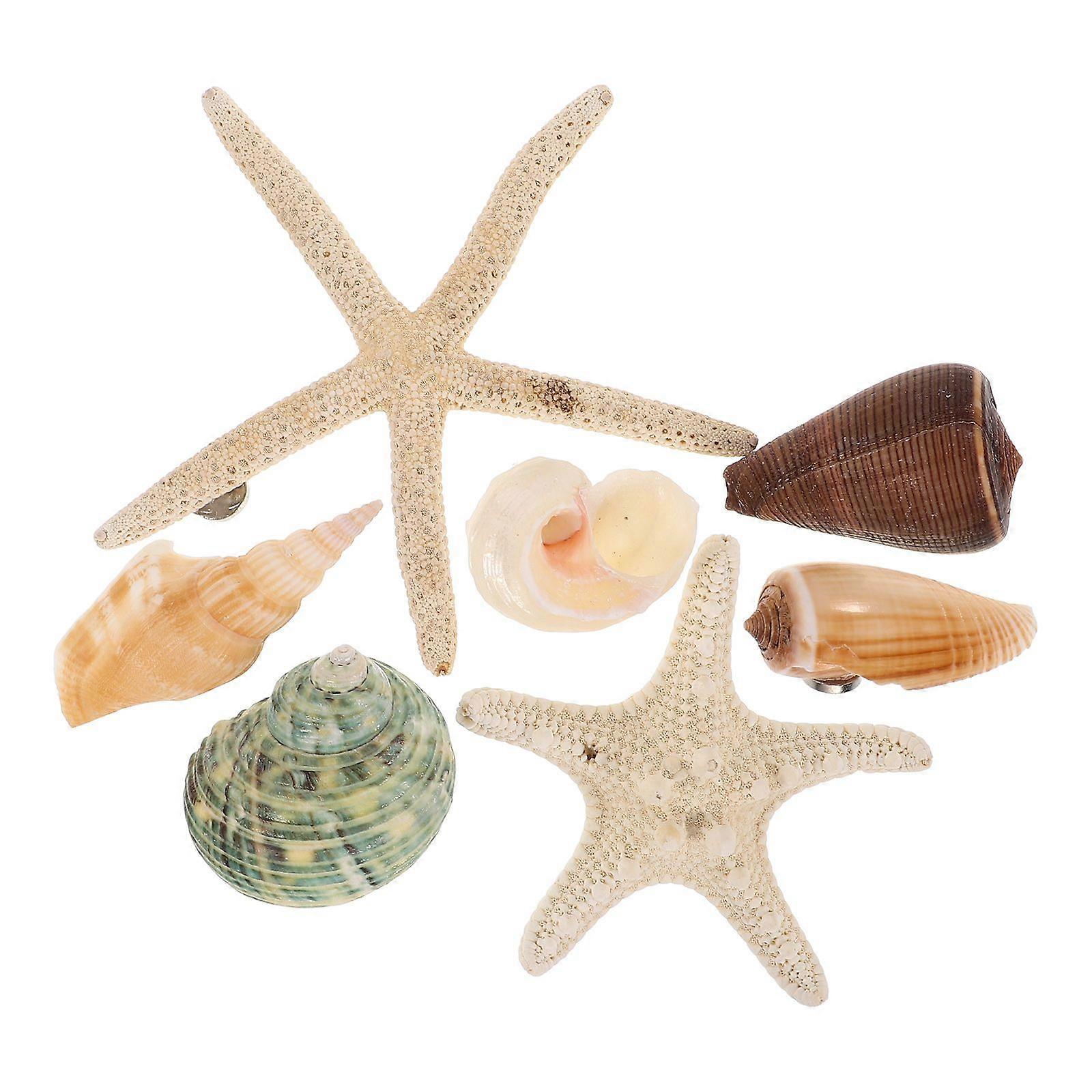 7PCS Fridge Stickers Magnetic Decals Seashell Conch Shape Patches (Random Style)