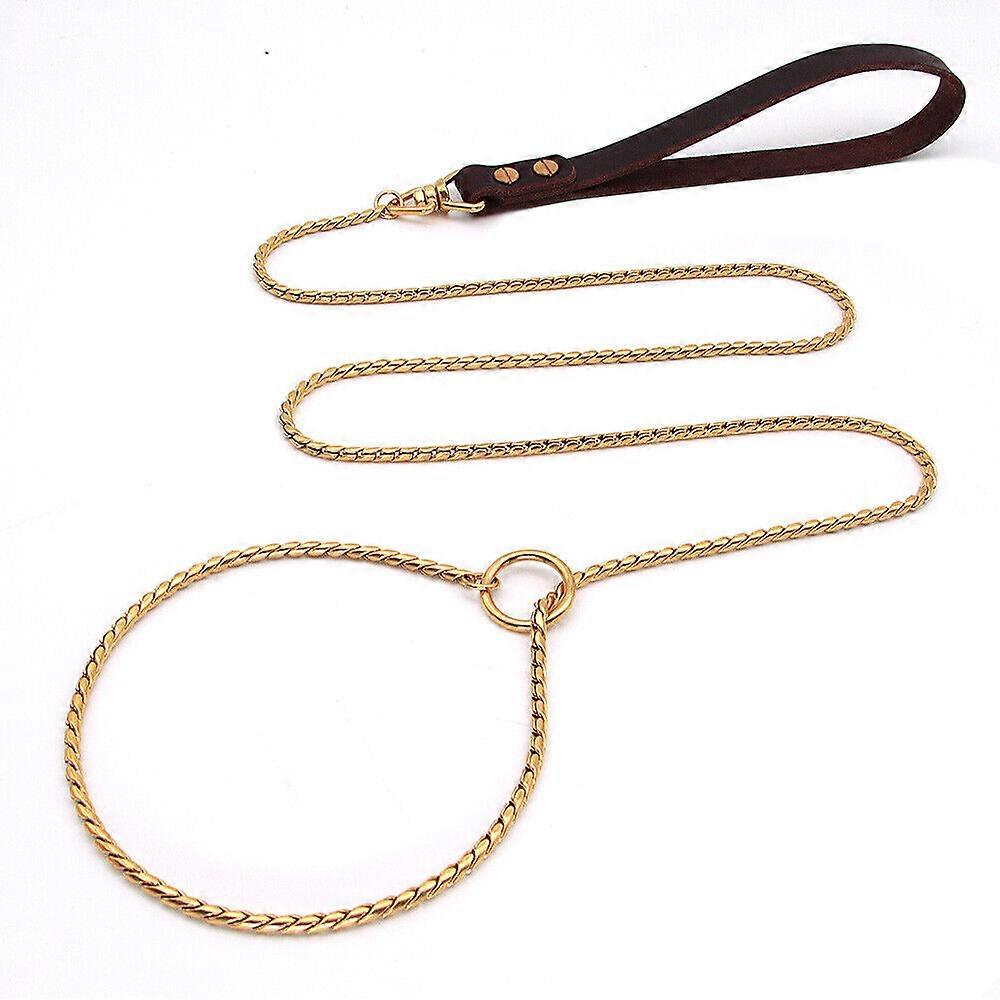 Chain Slip Choke Lead with Leather Handle Pet Training Leash No Collar Needed