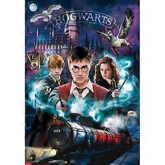 Puzzle compact 1000 pièces : Harry Potter