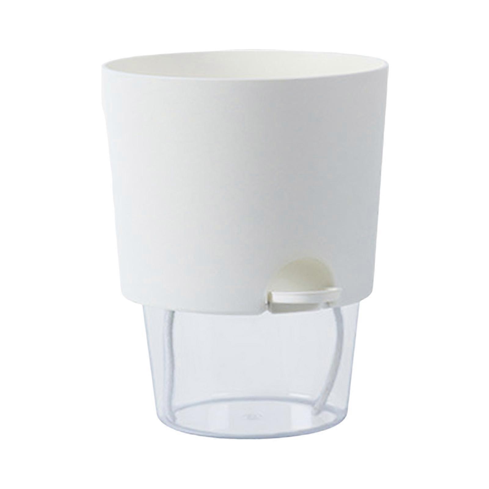 Self-Watering Hydroponic Flowerpot - Transparent Base with Drainage