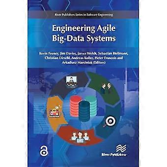 Ingénierie des systèmes Big Data agiles