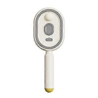 Electric Spray Air Cushion Hair Brush with Steam, Detangling Comb, Anti-Static for Frizz Control, Rechargeable & Portable